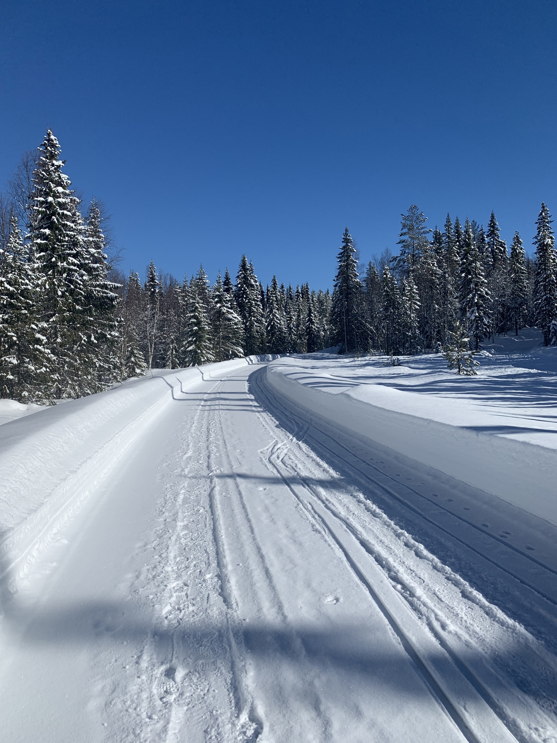Drømmeforhold for ski og sol
