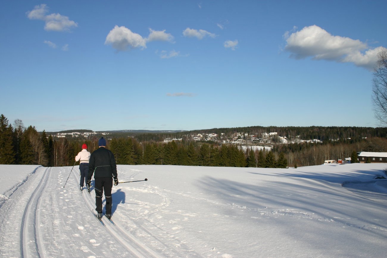 Drømmeforhold i Nøstvedtmarka