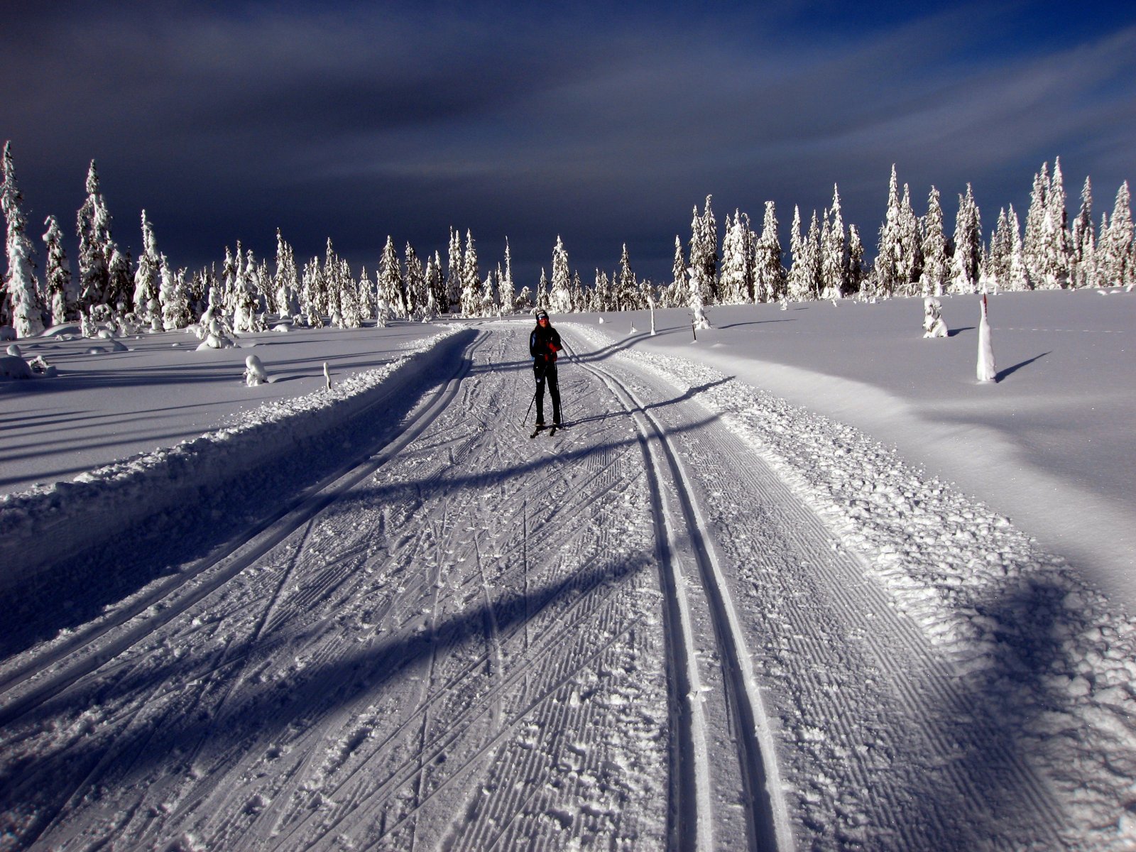 Drømmeforhold på Høgkorset