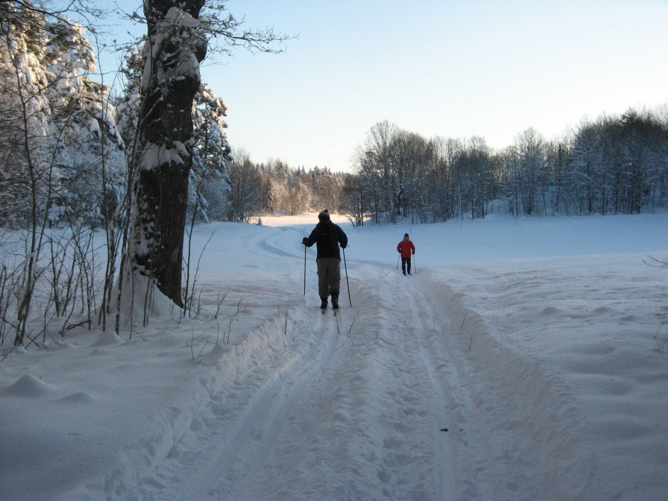 Drømmeforhold på Svartskog