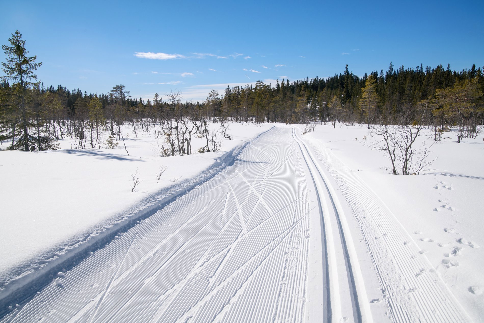 Drømmeforhold. Ferdig snakket.
