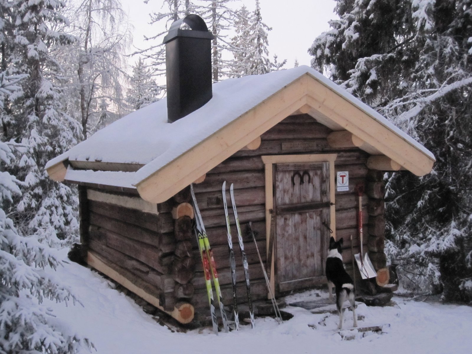 Drømmen på Krokskogen
