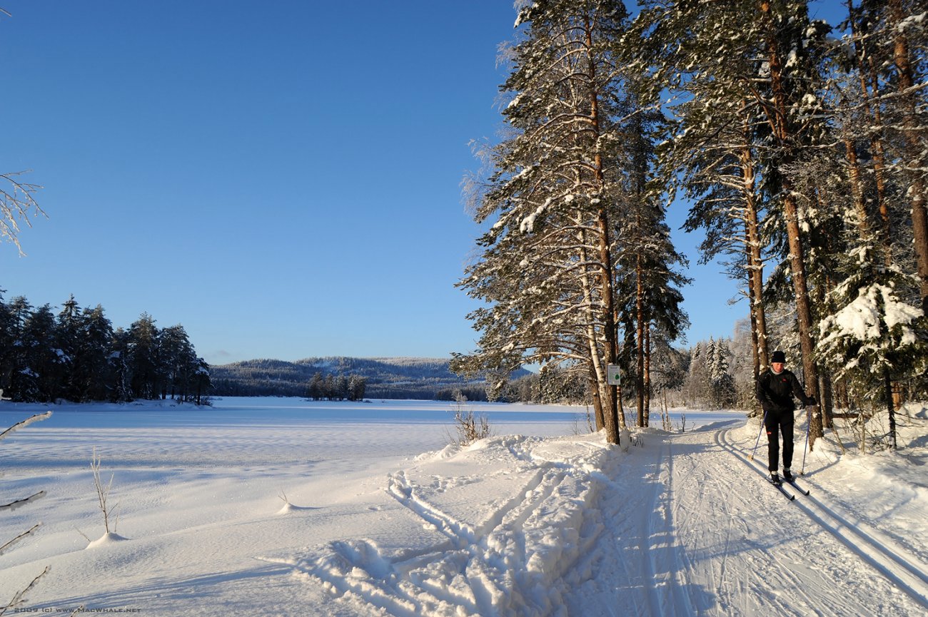 Drømmespor langs med Skjærsjøen