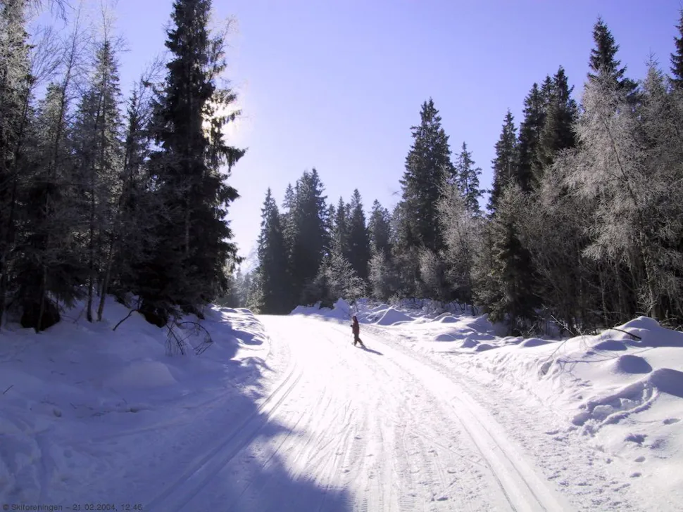 Drømmestart på vinterferien i Oslomarka