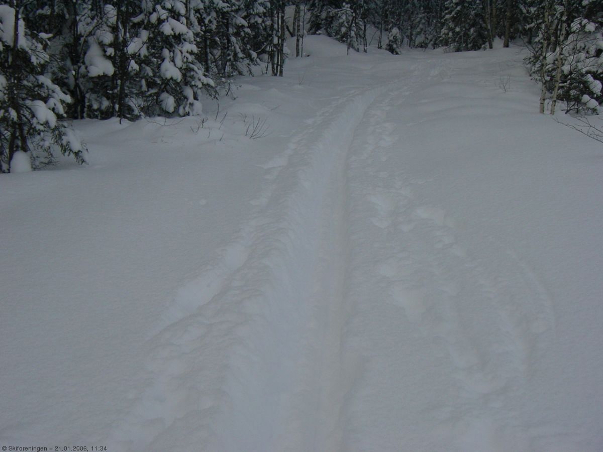 Dype skispor i Østmarka