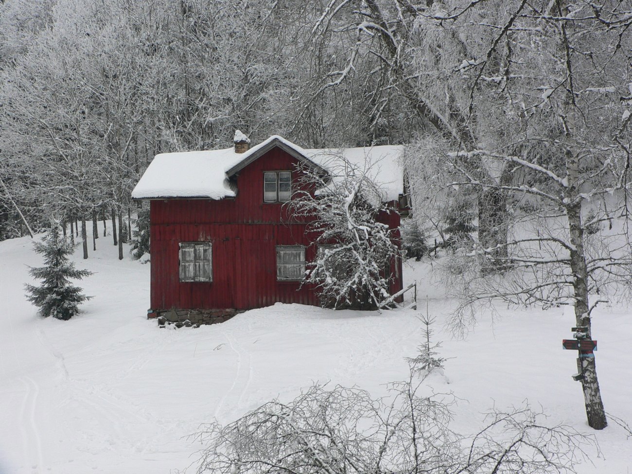 Dystert på Kølabonn