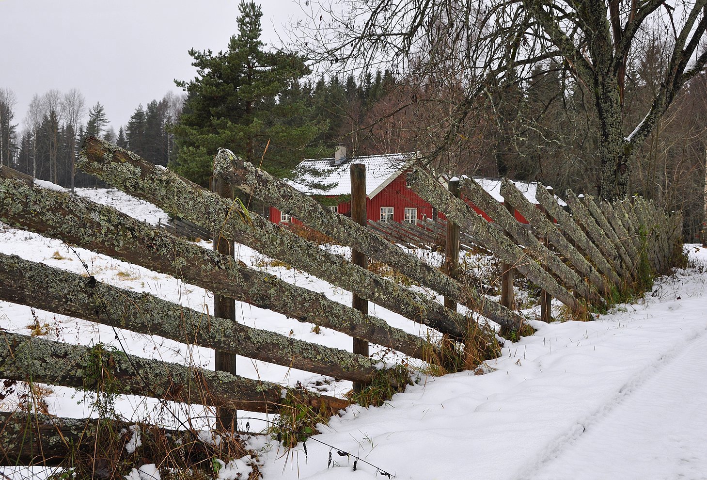 Ein skigard kan ikkje vara evig