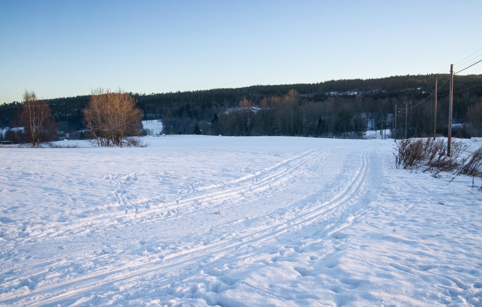 Ekstrarunde på jordet