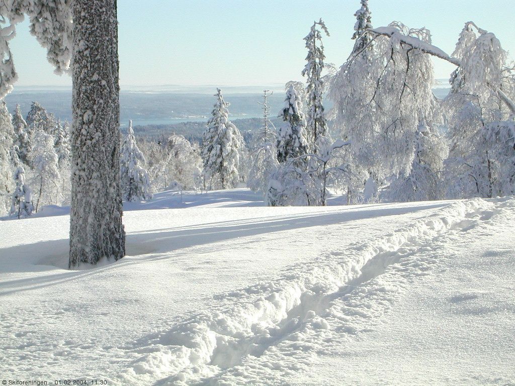 Elgen har sett ut over Hurumlandet. Oslofjorden kan skimtes i det fjerne.