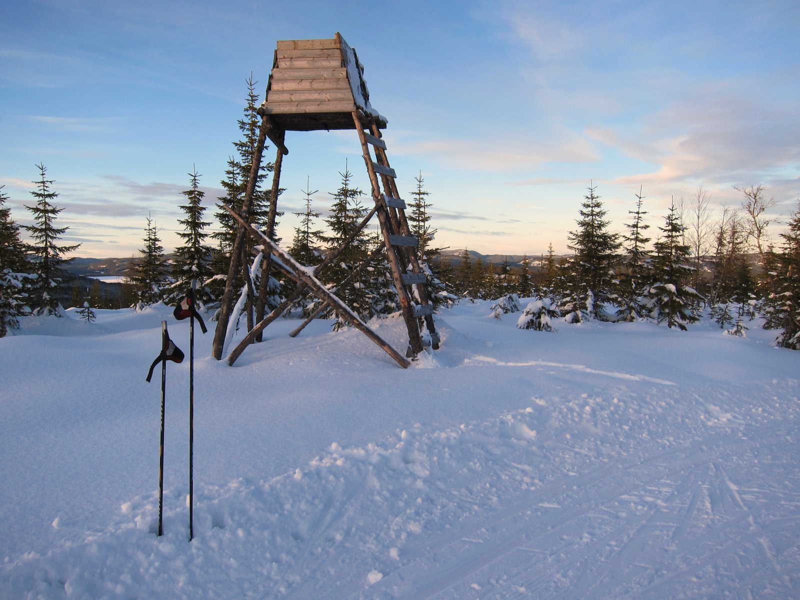 Elgpost med panorama