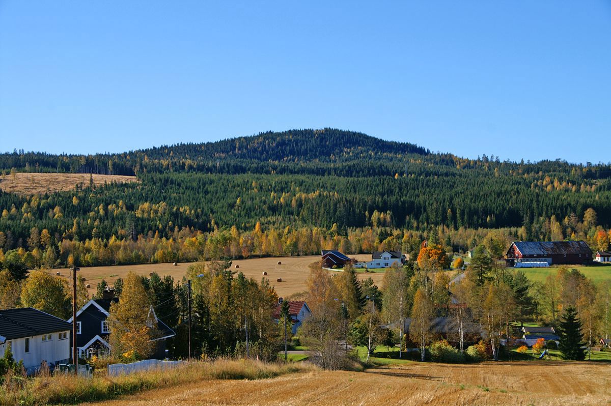 Elkollen ruver i bakgrunnen