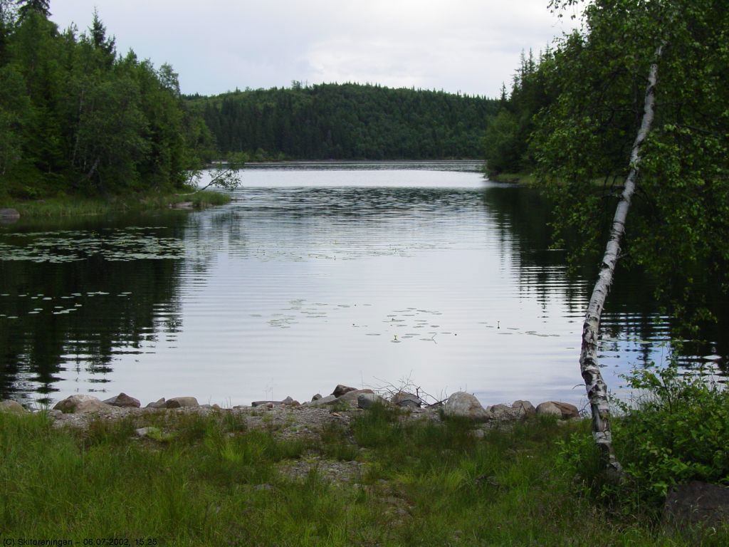 Elsjøane (den store)