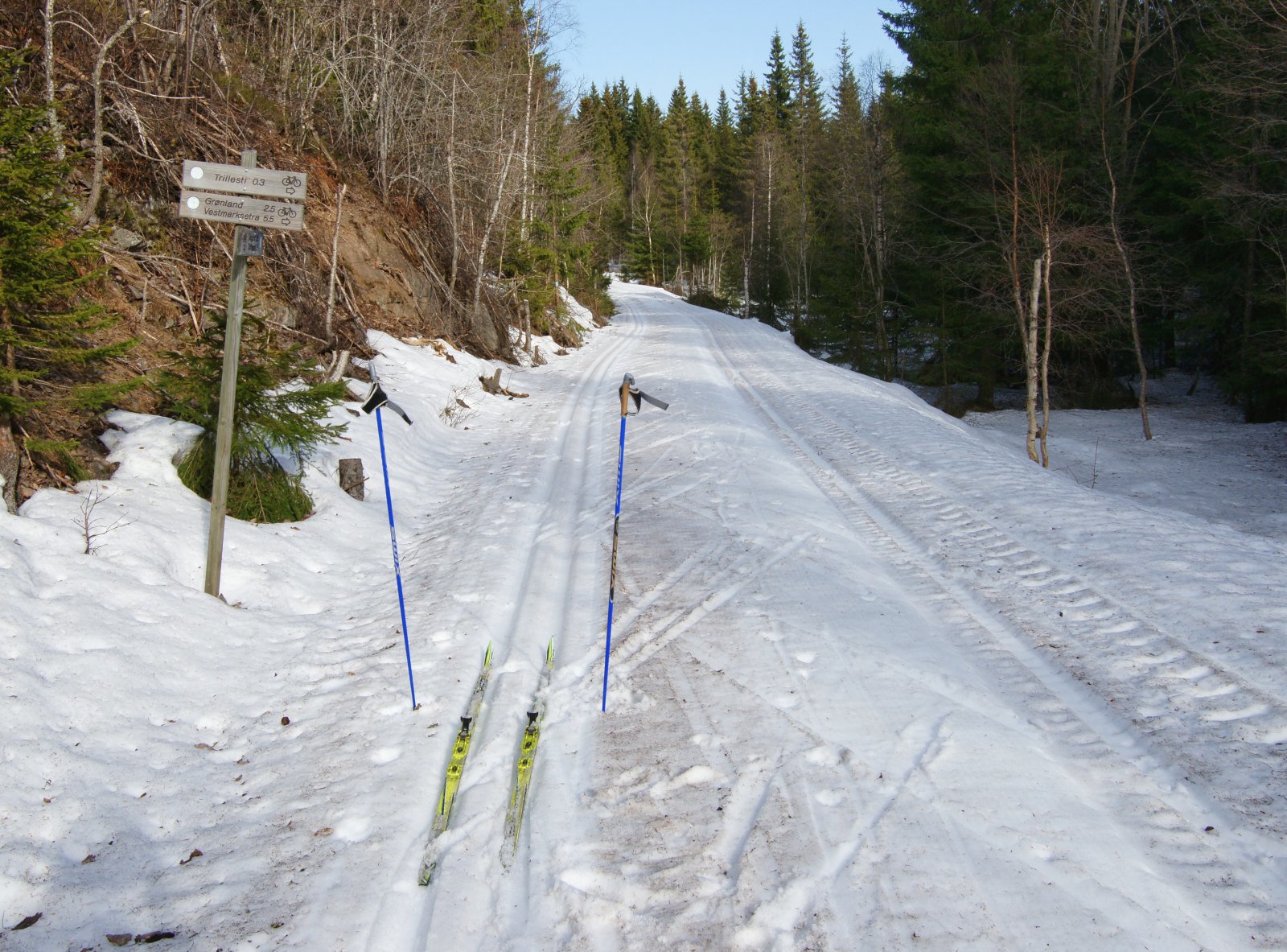 En av vårens sikreste løyper