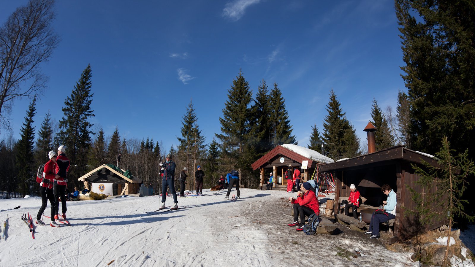 En fisk på Mikkelsbonn