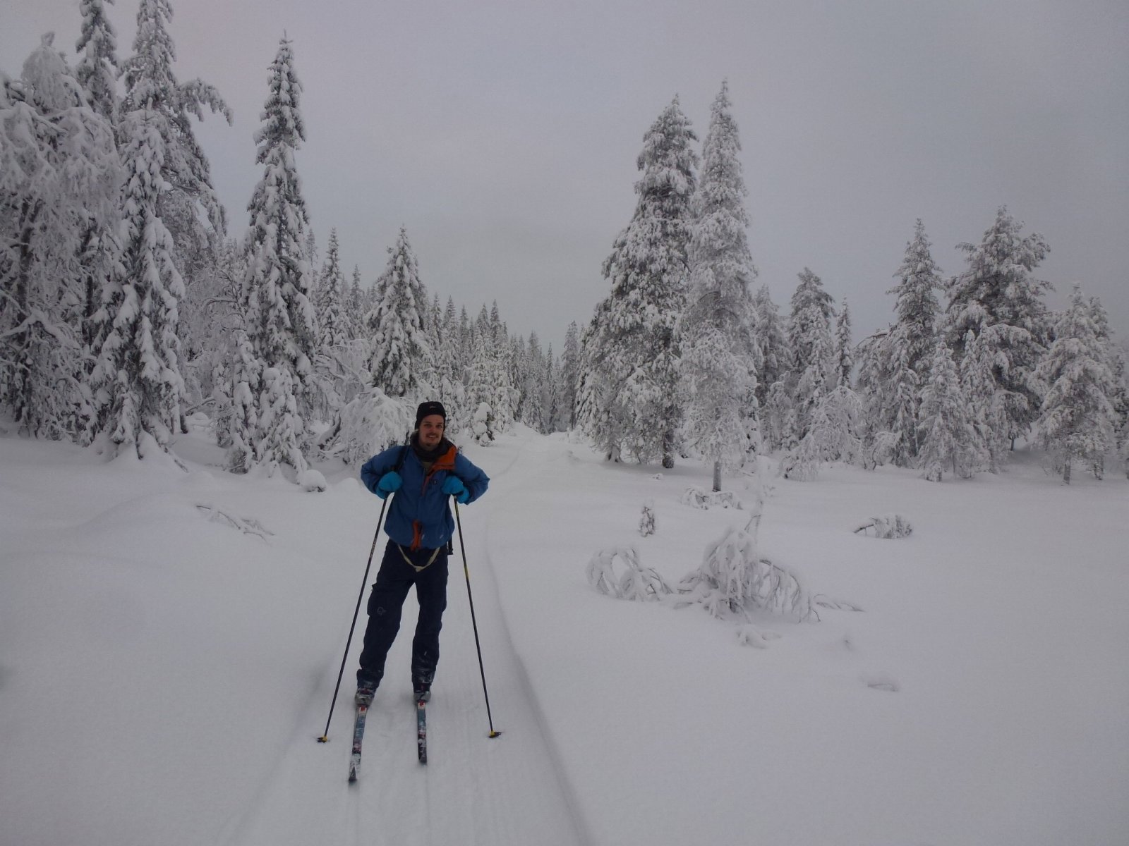 En ny milsluker dukker opp i eventyrskogen