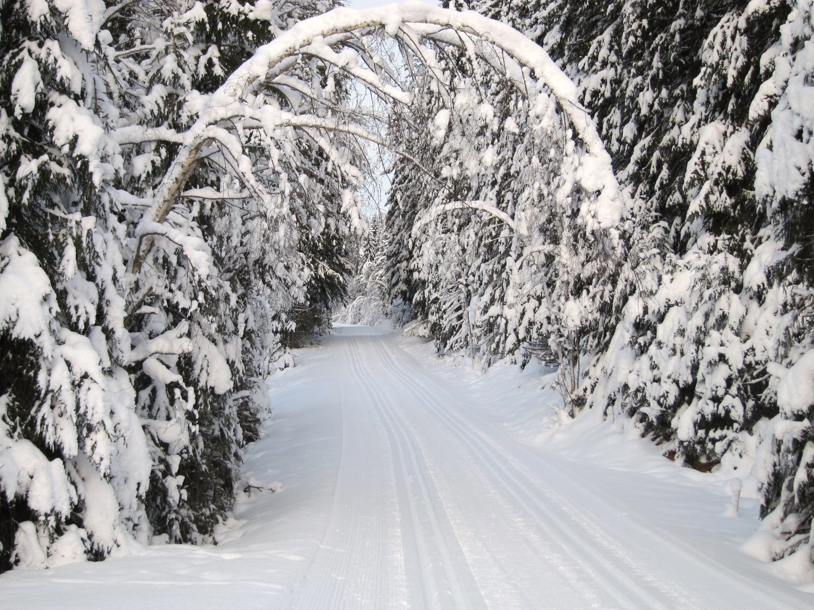 En portal til Gullverket
