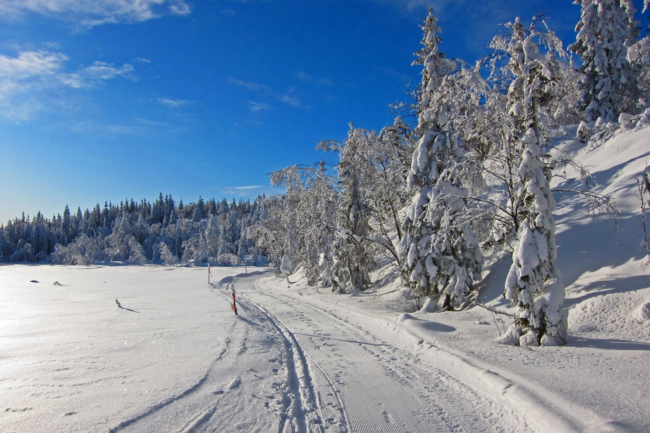 En strålende dag i Romeriksåsene