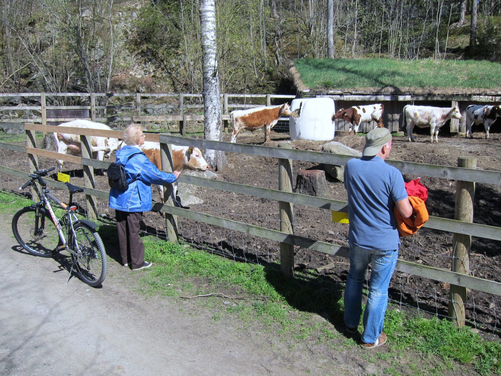 En titt over gjerdet