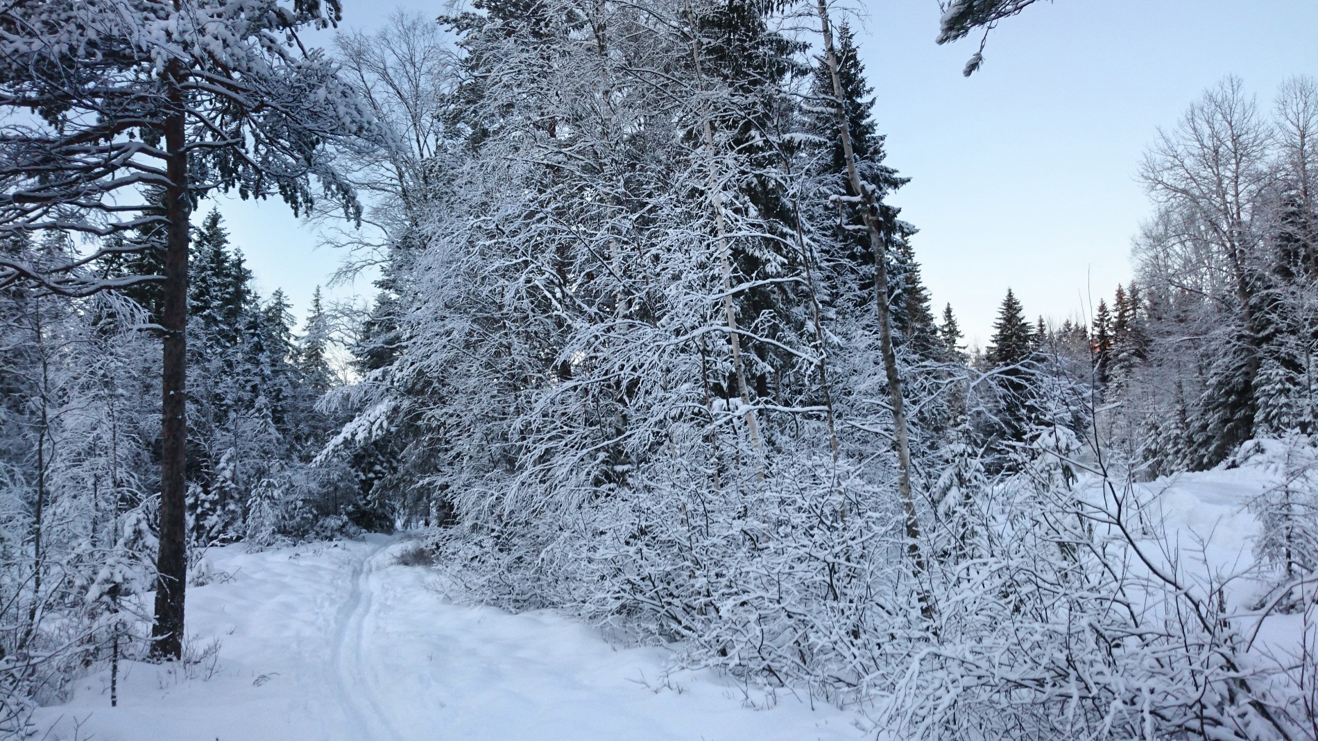 Endelig nok snø til skiturer i Østmarka
