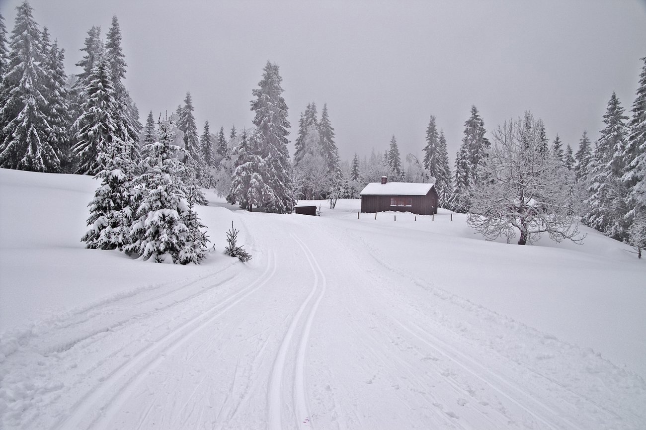 Engersetra i tåkedis
