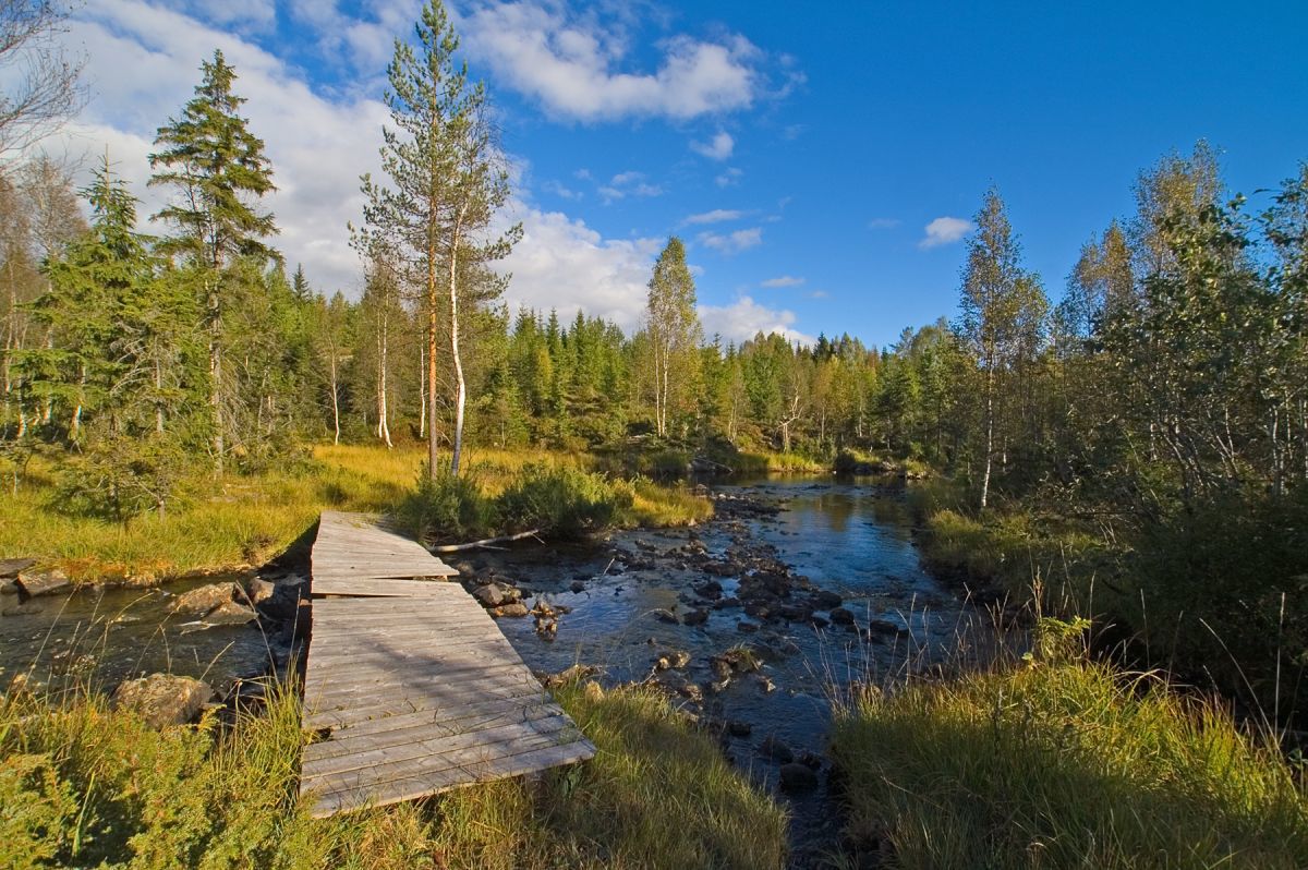 Enkel bro mellom kommunene