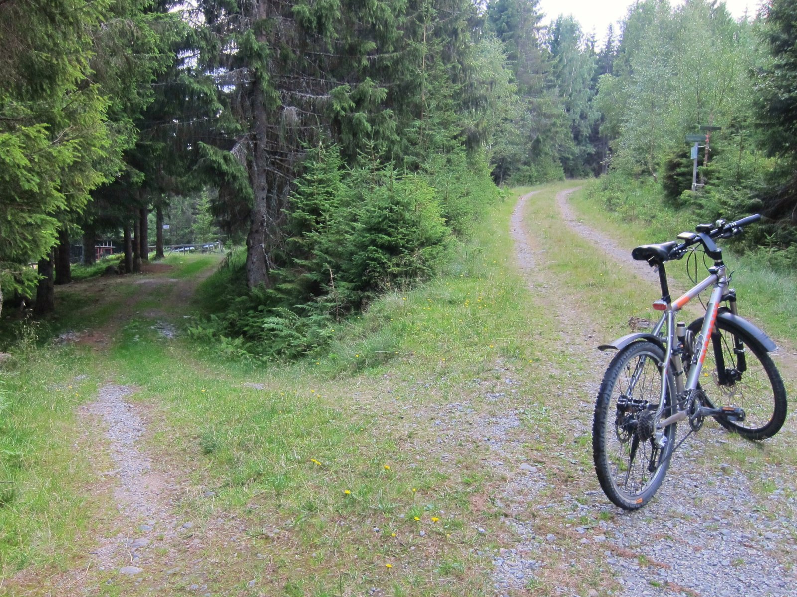 Enkelt veivalg ved Kjønstadsætra