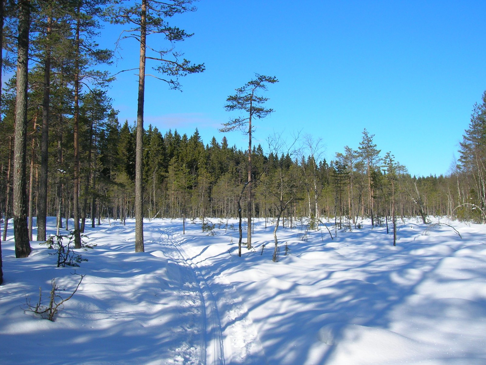 Enkeltspor over Flakamyrene