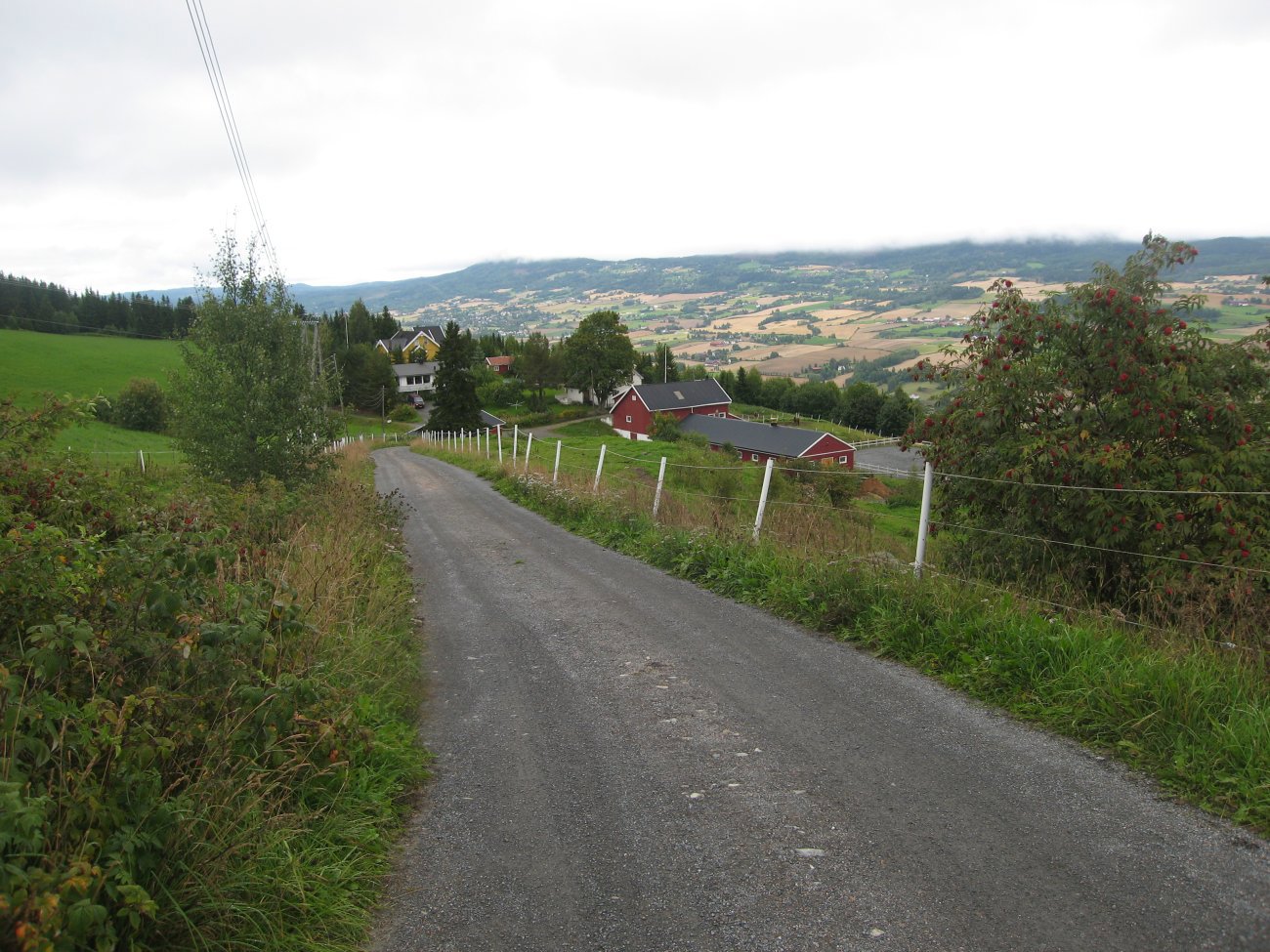 Enlien - Hadeland i fugleperspektiv