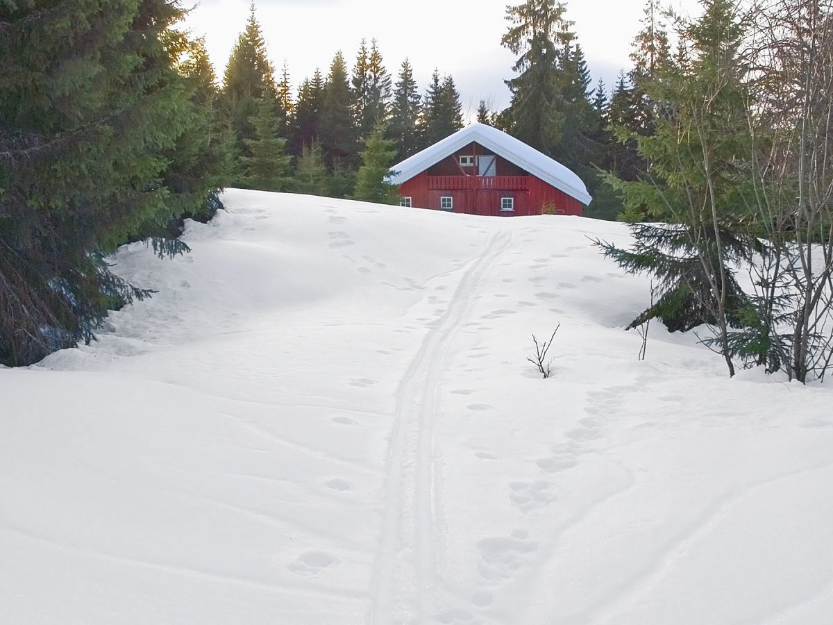Enslig spor til Torgesetra