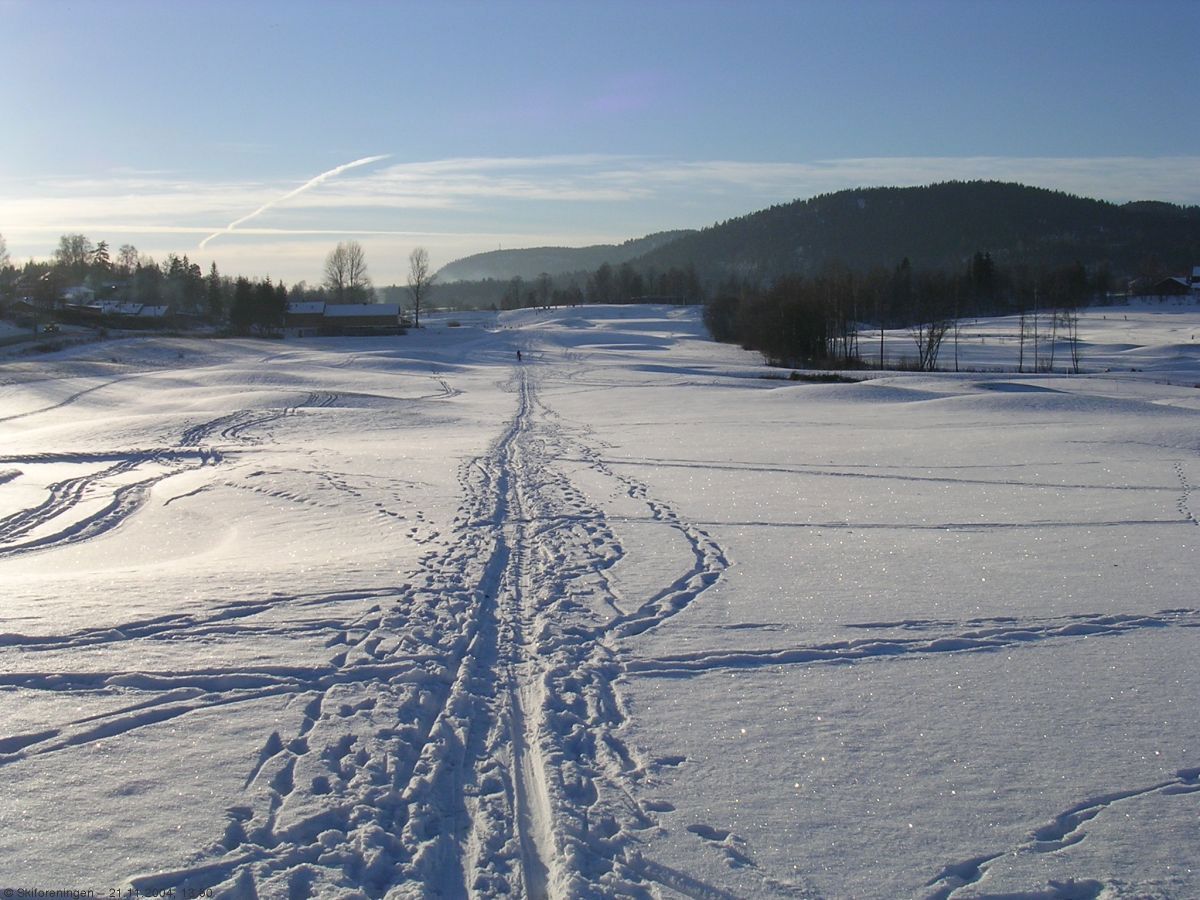 Ensomt spor retning Kolsåstoppen