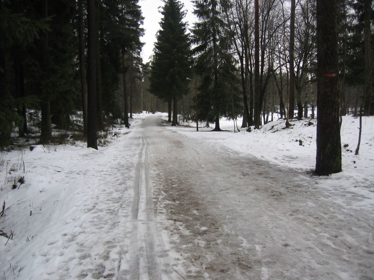 Entusiastføre i lysløypa ved Sognsvann