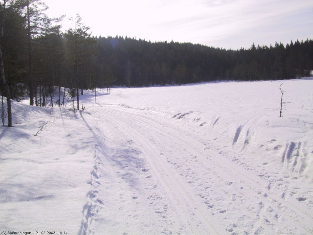 Et av mange Aurtjern i Marka