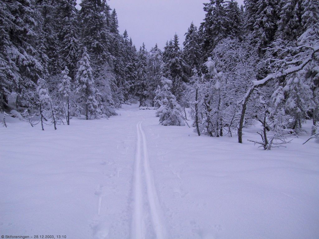 Et ensomt skispor på vei mot Oppkuvvann