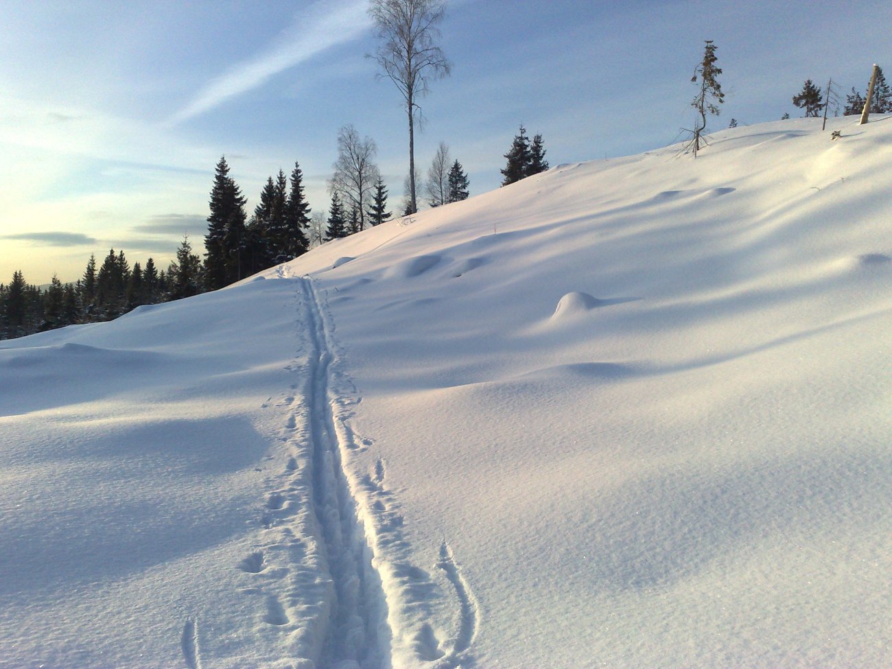 Et ensomt spor over Grøttumflaka