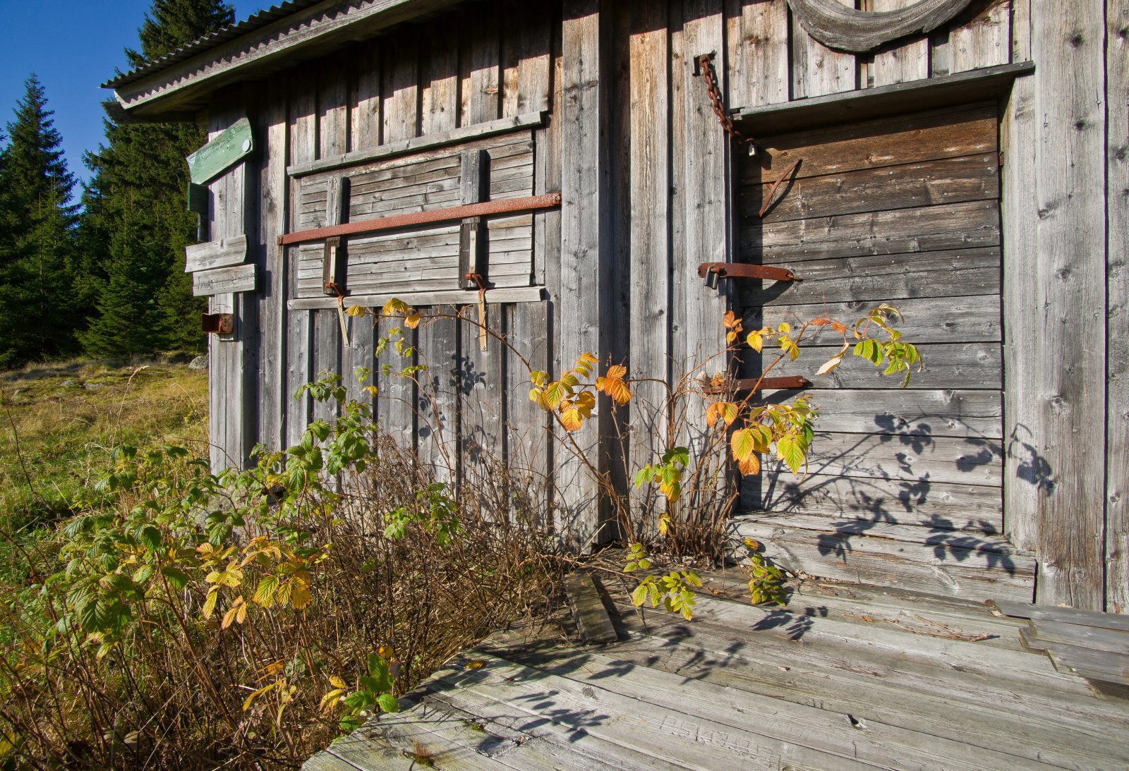 Et minne som sommeren