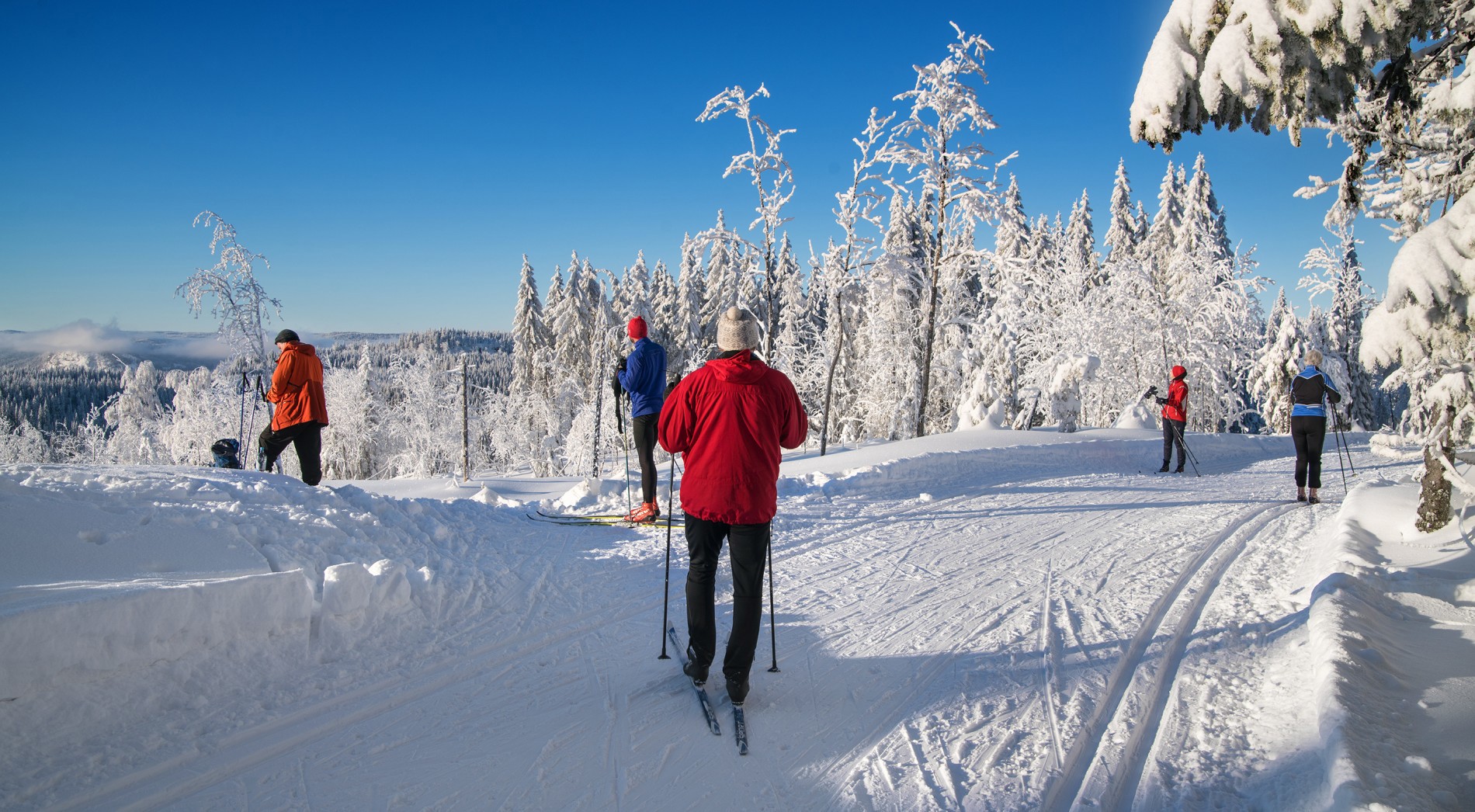 Et naturlig samlingspunkt