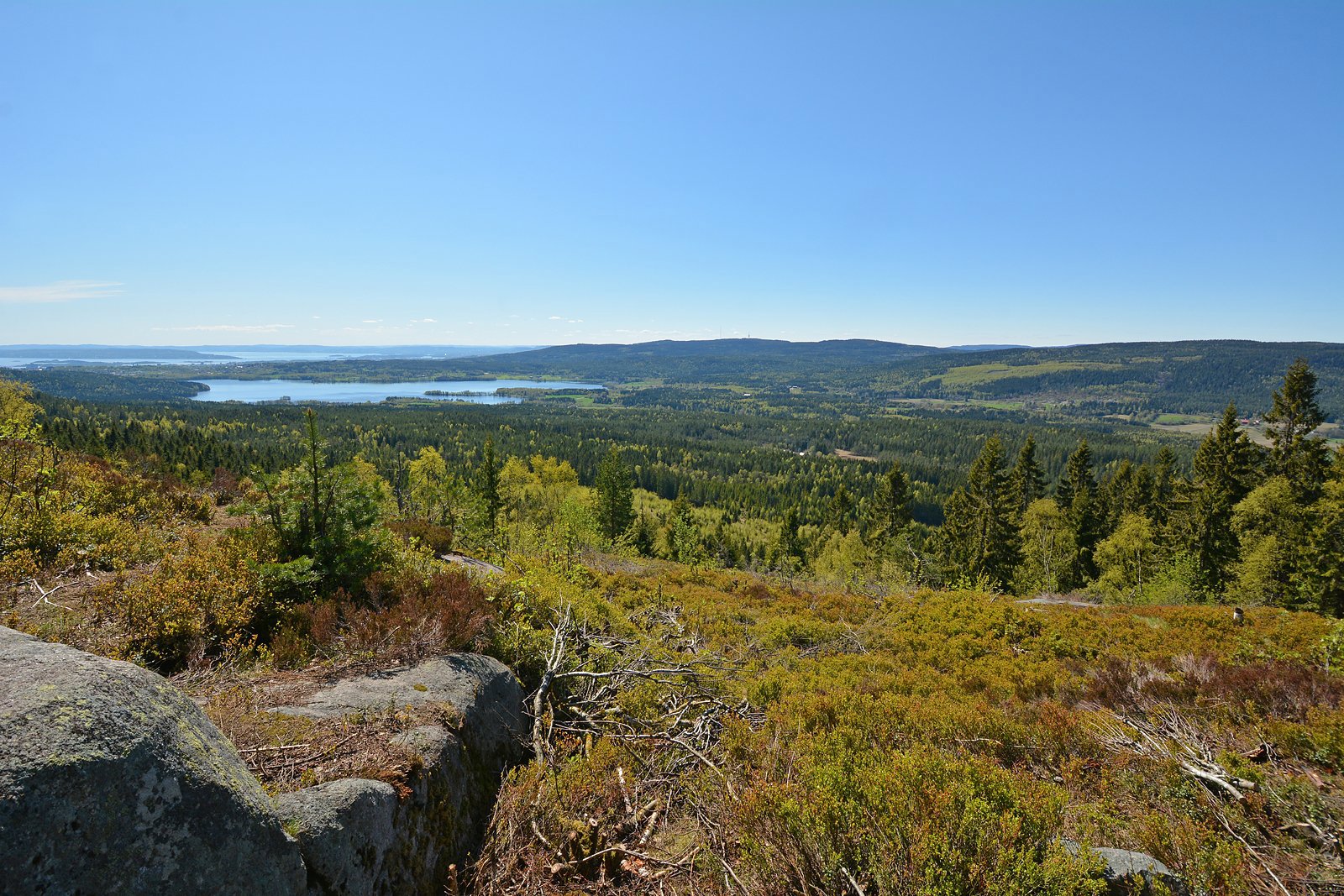 Et panorama over Oslogryta