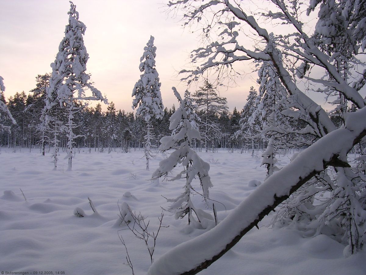 Ettermiddag på Bonnamyra