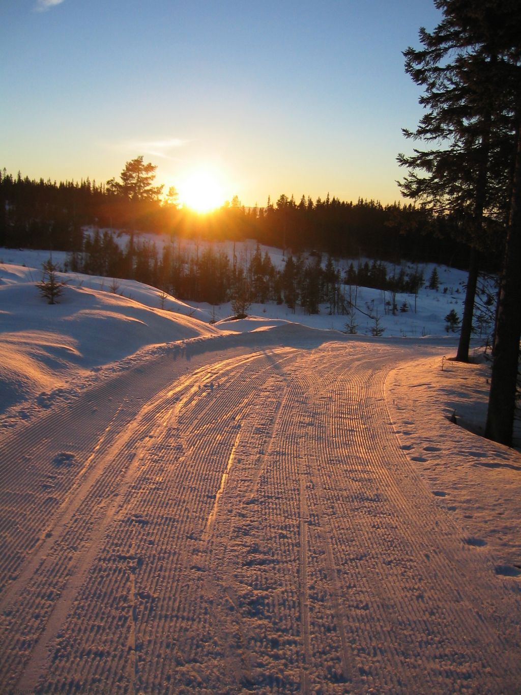 Ettermiddag ved Høgkorset