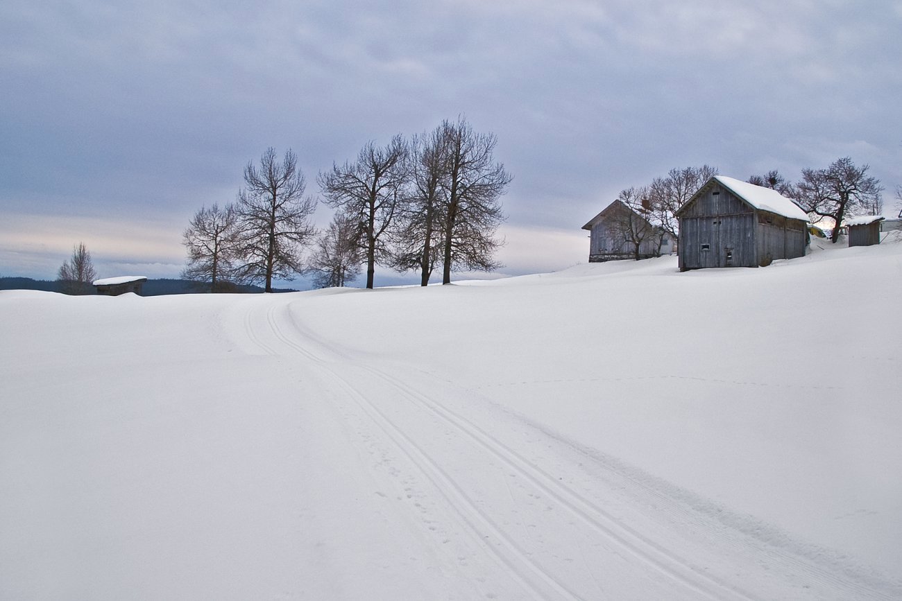 Ettermiddag ved Linnerud