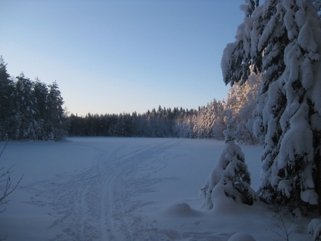Ettermiddagssol over Bukkestitjern