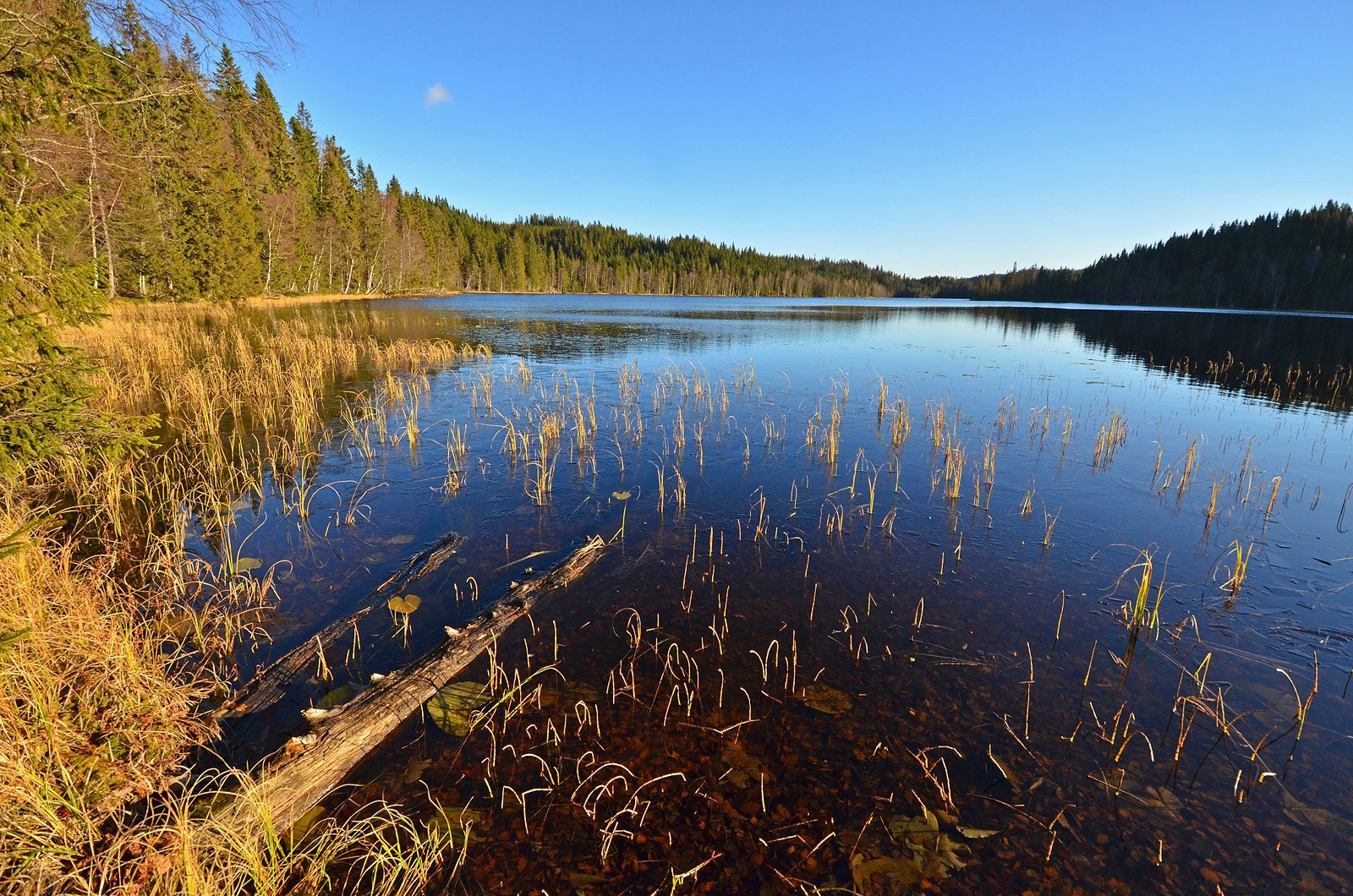 Ettermiddagssol over Setervann