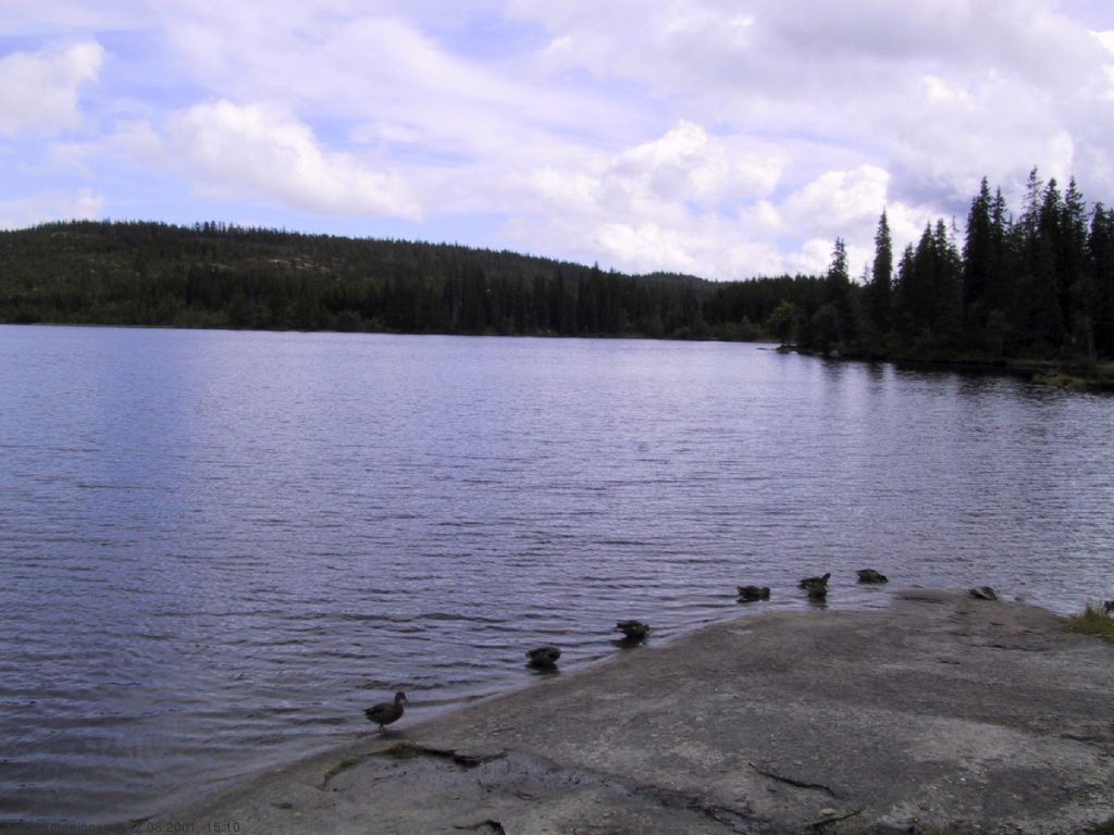 Ettersommer ved Tverrsjøen