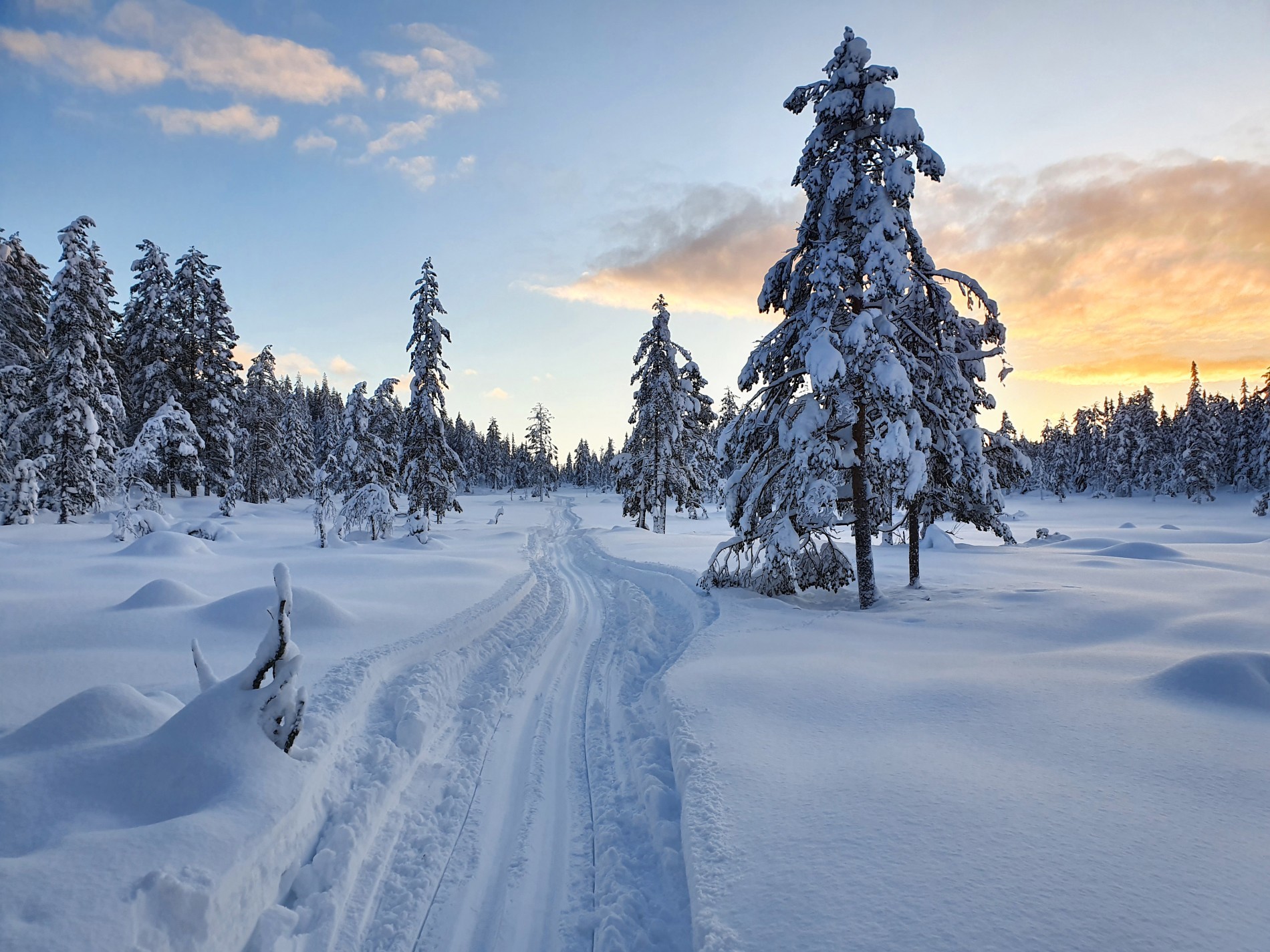 Eventyrlig i Spenntirunden