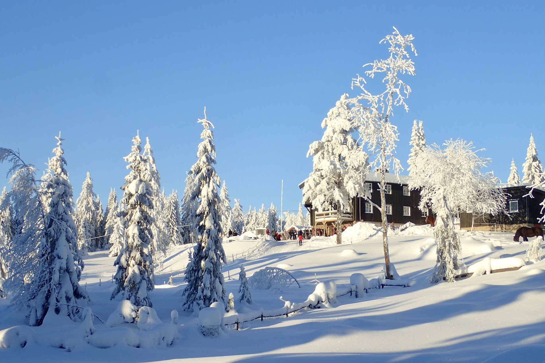 Eventyrlig på Løvlia
