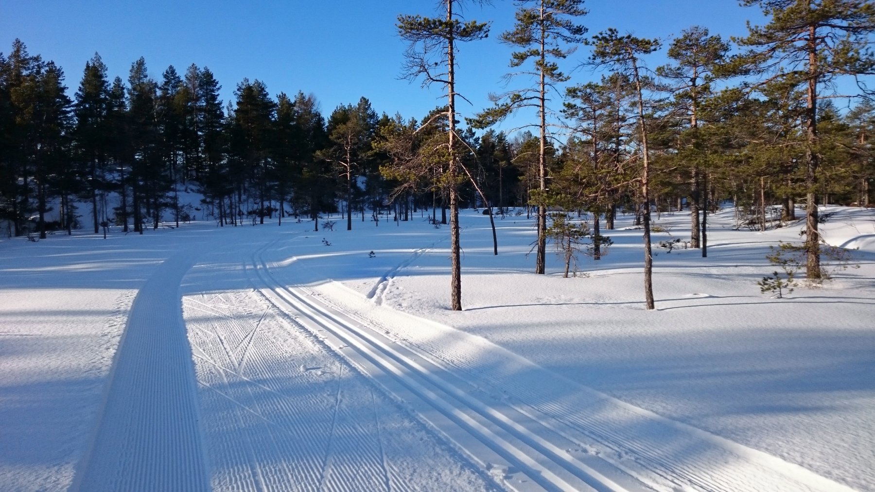 Eventyrlige forhold i høyden i Hurummarka