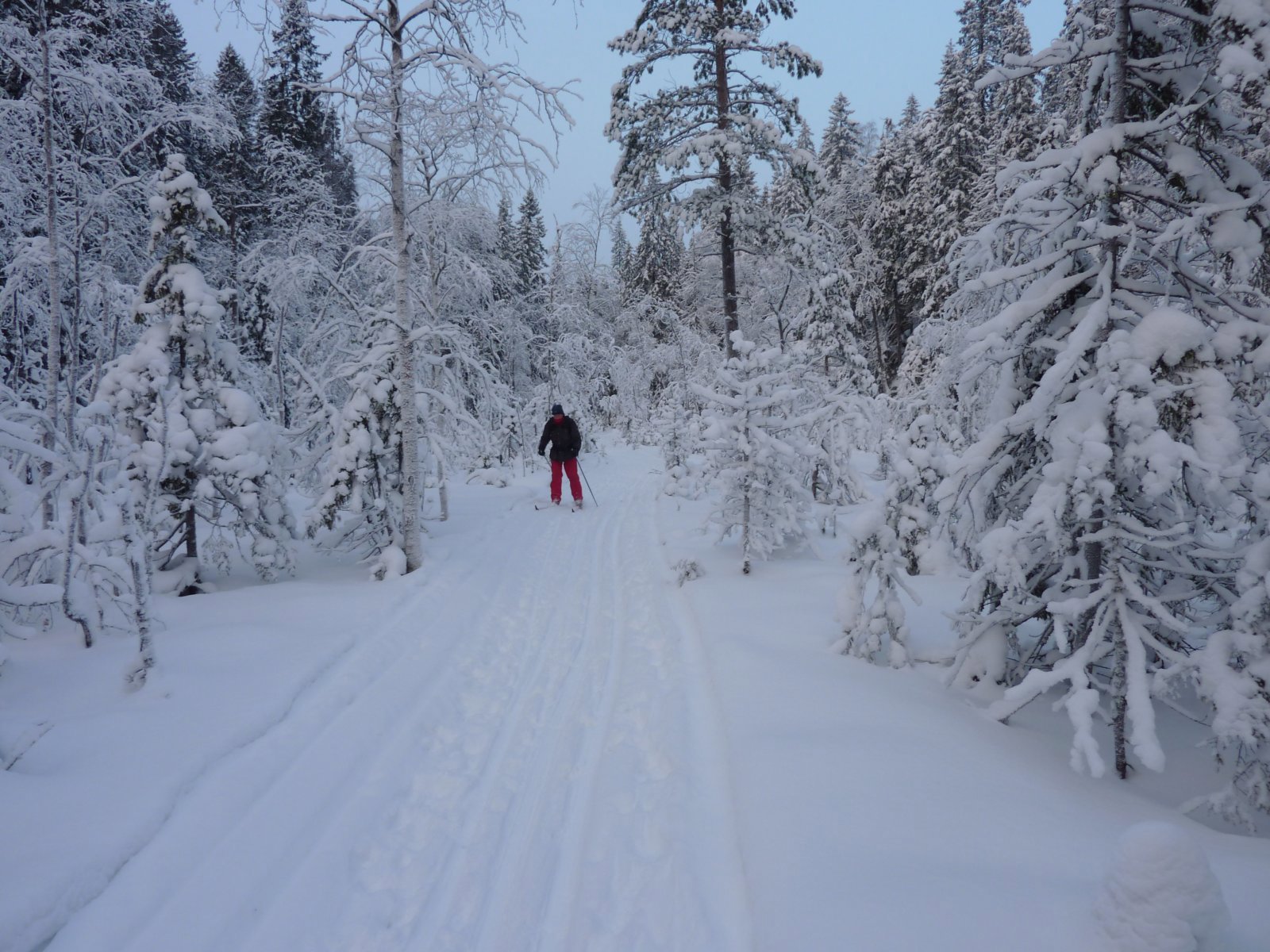 Eventyrstemning over Tretjernshøla