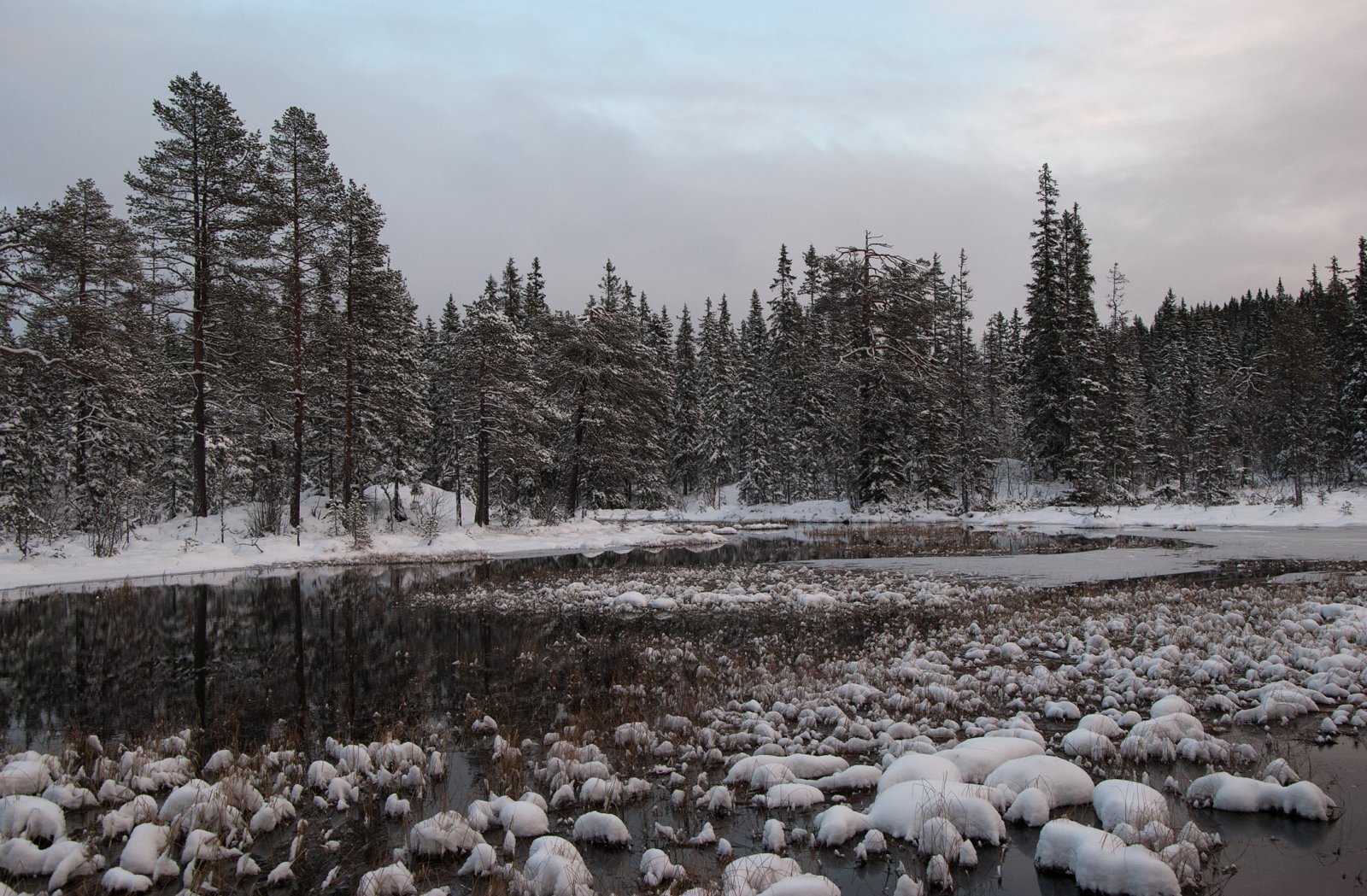 Evjene ved Vesle Svartungen