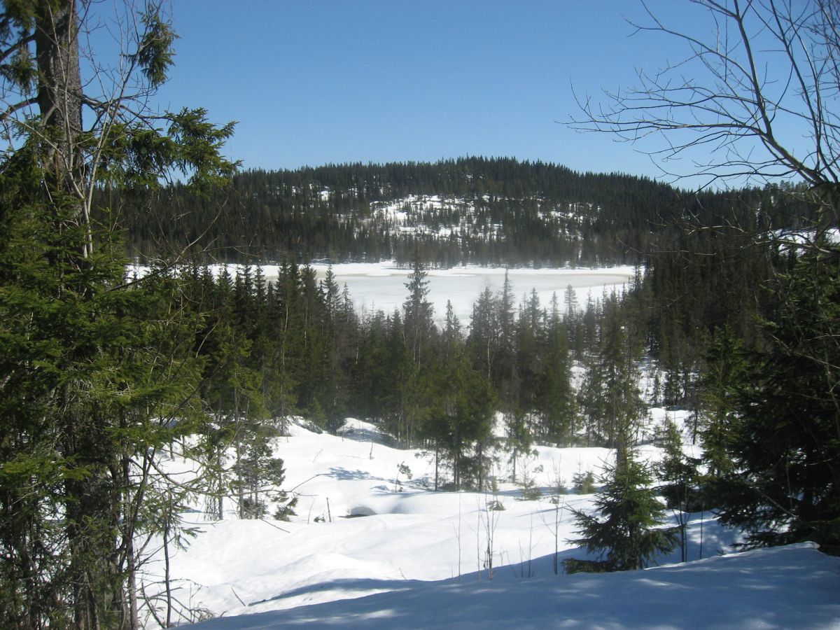 Fagervann med Nautsundkollen