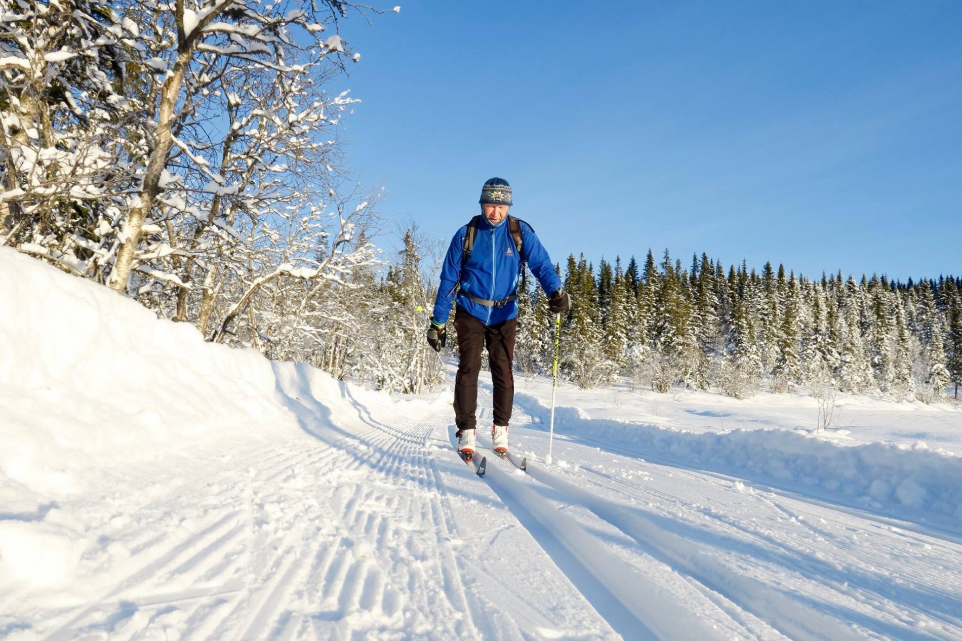 Fantastiske forhold i Gjøvikmarka